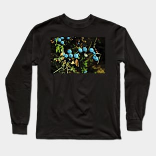 Blue Berries Long Sleeve T-Shirt